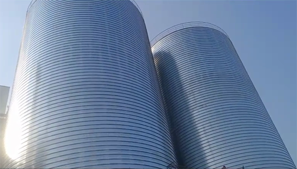 翠屏2座混凝土高架卷板仓